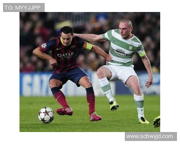 武汉排球队包夹战术解析：深度探讨排球比赛中的团队协作与策略运用